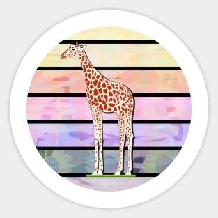Beautiful Giraffe Sticker